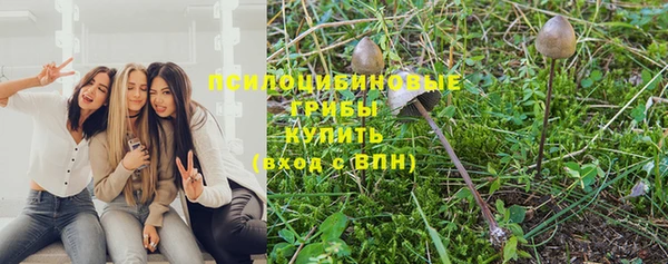 мескалин Богданович